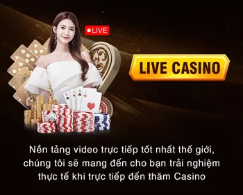 Chương trình VIP dg789