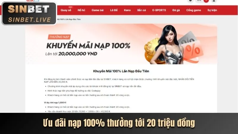 Khuyến mãi hấp dẫn và ưu đãi độc quyền